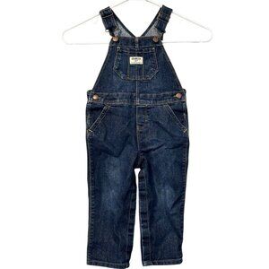 Girls Oshkosh Overalls‎ Glitter Size 24 Months Bibs Country Outdoor Cute